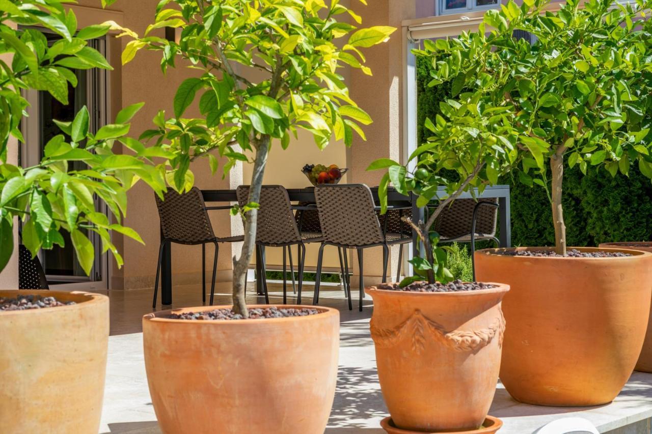 Willa Casa Mateo Rovinj Zewnętrze zdjęcie